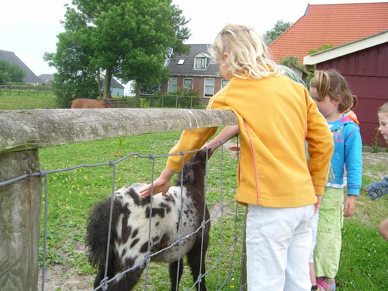 070612 skoalreiske beukers 106.jpg
